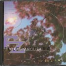 FOLD ZANDURA--RE:TURN Compact Disc (CD)