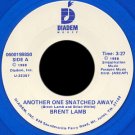 BRENT LAMB--""ANOTHER ONE SNATCHED AWAY"" (3:27) (BOTH SIDES STEREO) 45 RPM 7"" Vinyl