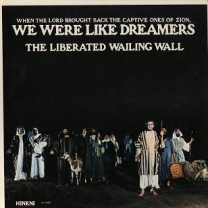 THE LIBERATED WAILING WALL--WE WERE LIKE DREAMERS Vinyl LP