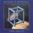 JOHN PANTRY--NOTHING IS IMPOSSIBLE Vinyl LP (Sealed)