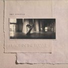 AMY SHREVE--PEACE IN THE PUZZLE Vinyl LP (Sealed)