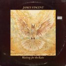 JAMES VINCENT--WAITING FOR THE RAIN 1978 Vinyl LP (Original Issue)