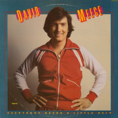 DAVID MEECE--EVERYBODY NEEDS A LITTLE HELP 1978 Vinyl LP