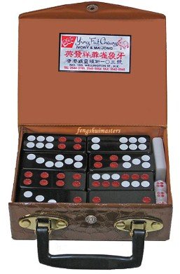 PAI GOW Set - Casino Quality Chinese Dominoes in Carrying Case with Handle