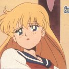 Sailor Moon Archival Trading Card #5