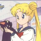 Sailor Moon Archival Trading Card #13