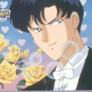 Sailor Moon Archival Trading Card #23