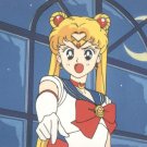 Sailor Moon Powerful Trading Card #24