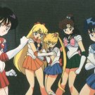 Sailor Moon Powerful Trading Card #53