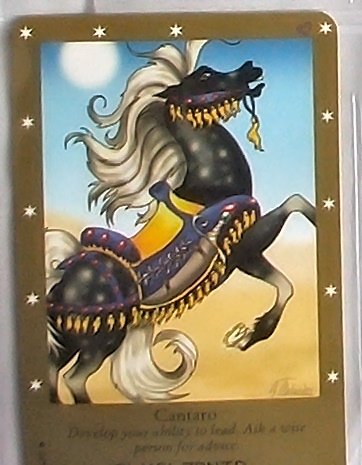 Bella Sara Series Two Card #6 Cantaro