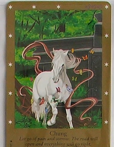 Bella Sara Series Two Card #10 Chung