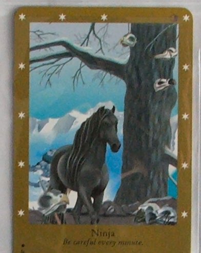 Bella Sara Series Two Card #40 Ninja