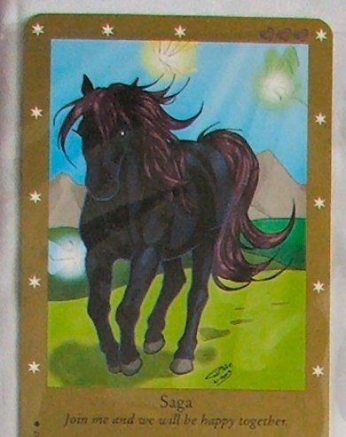 Bella Sara Series Two Card #45 Saga