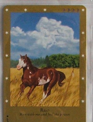 rare yu gi oh card Amazon.com: Yu-Gi-Oh! - Honest (TWED-EN001) - Twilight Edition - Limited  Edition