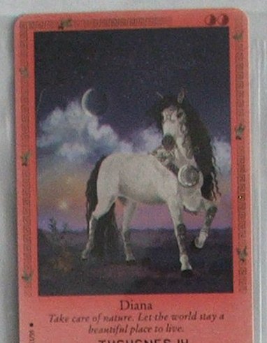 2006 Bella Sara Ancient Lights Booster Box 12 Sealed Blister Packs, Complete Set Bella Sara Cards 2006 Bella Sara Ancient Lights Booster Box 12 Sealed Blister Packs, Complete Set Bella Sara Cards