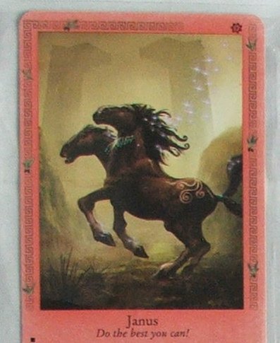 rare bella sara cards Amazon.com: Bella Sara Ancient Lights Trading Cards Unopened Pack (7 cards  per pack) : Toys & Games