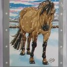 Bella Sara Series One Card #4 Charlie