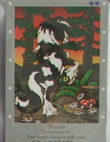 Bella Sara Series One Card #21 Nanna