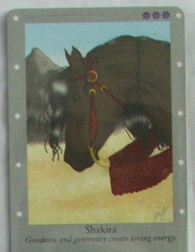 Bella Sara Series One Card #29 Shakira