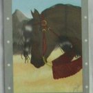 Bella Sara Series One Card #29 Shakira