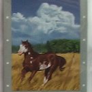 Bella Sara Series One Card #42 Rain