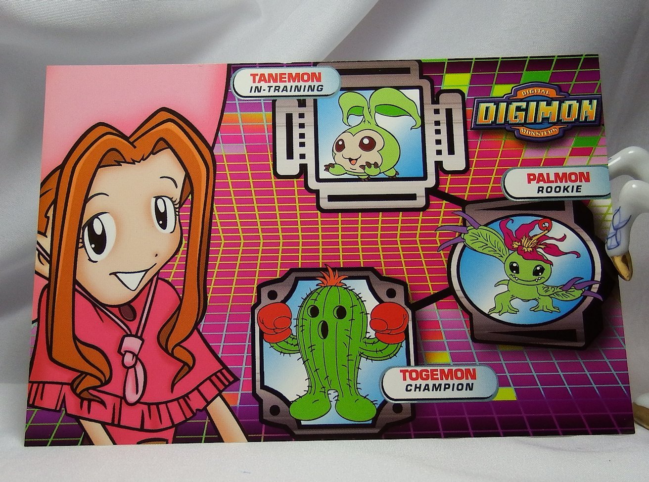 Digimon Photo Card #57 Mimi's Digimon