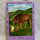 Bella Sara Native Lights Card #27 Wichita Bella Sara Native Lights Card #27 Wichita