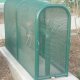 Backflow Cage