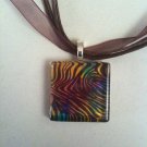 Muti Colored Zebra