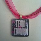 Team Edward