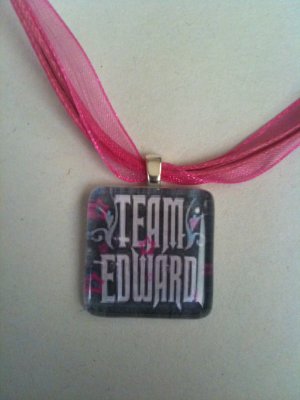 Team Edward