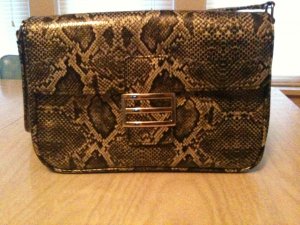 Snake Skin Purse