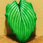 Cement Hosta leaf