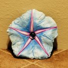 Cement Moonflower