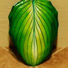 Cement Hosta Leaf