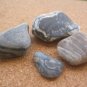 4 UNIQUE NATURAL PATTERN PEBBLES STONES SEA BEACH  e1