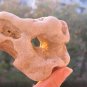 POWERFUL Magic Natural Holey Holy 2 Holes Stone Rock i