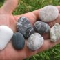 7 UNIQUE NATURAL PEBBLES STONES ROCKS SEA BEACH ZH