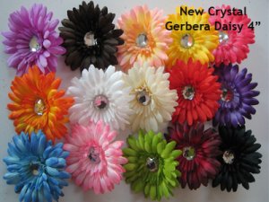 Dozen Lot 12 Gerber Daisy Flower Heads Gerbera U Choose