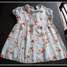 GAP Floral Dress Gorgeous Flowers Summer Girls 24 2 2T
