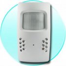 Motion Detection Wall Surveillance DVR - 1/4 Inch CCD + IR Light