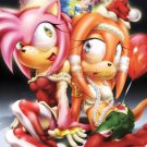 POSTER - 005 - 'Sonic Amy Rose & Tikal the echidna & chao in full celebration'