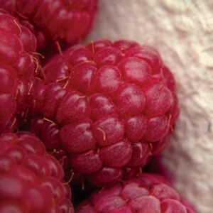 Sweet Fruit