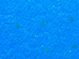 Blue, light
