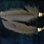feather earrings