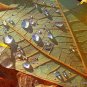 rain in the fall