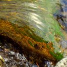 river water