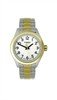 TIMEX - T2M451 (Ladies)