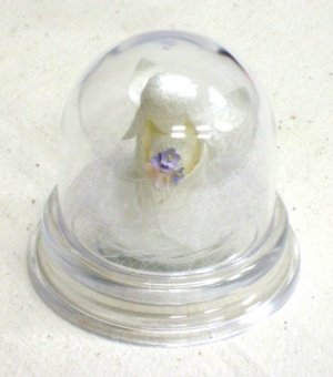 "Cocoon Doll" Japanese Hand Made "White Fairy" New Last
