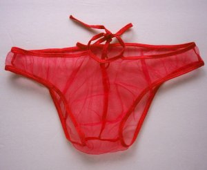 Ky008 HOT SEXY MEN BIKINI BRIEF C-THRU SHEER red